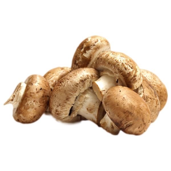 فطر، جودة عالية، كبير، عبوة 2 كجم