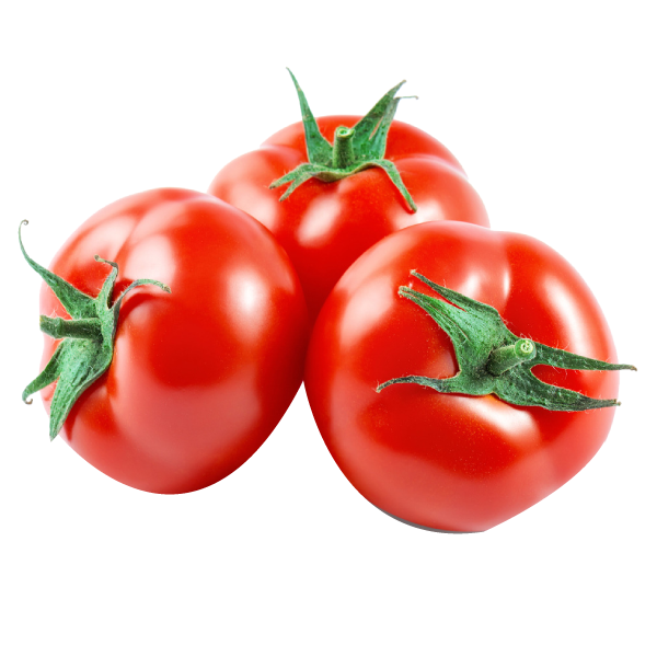 Vendor Logo